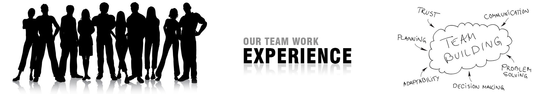Our Team